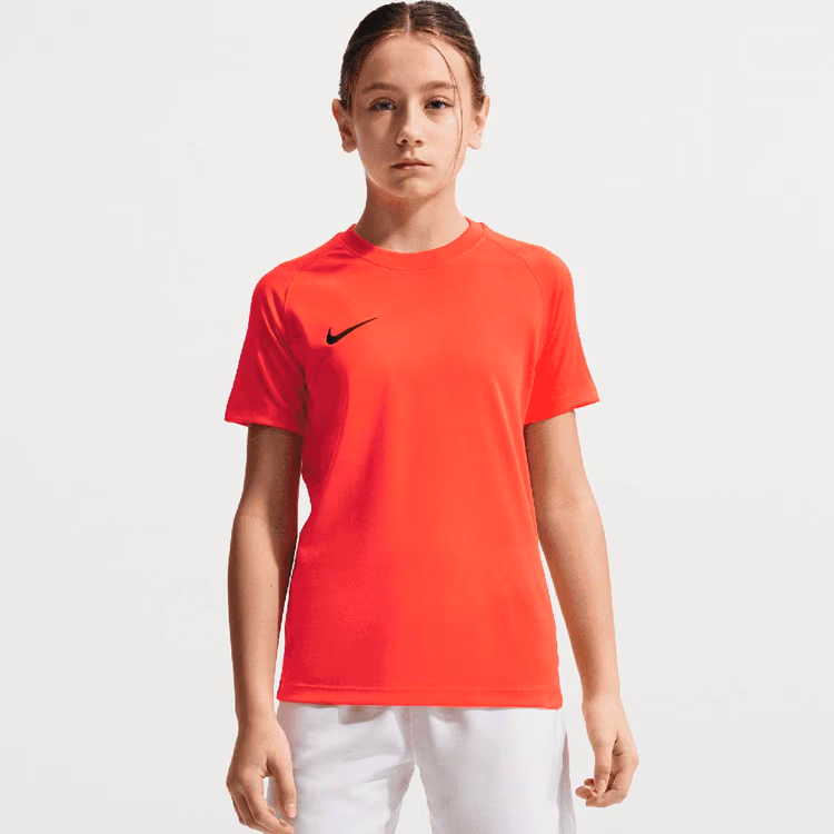 Футболка Nike PARK
