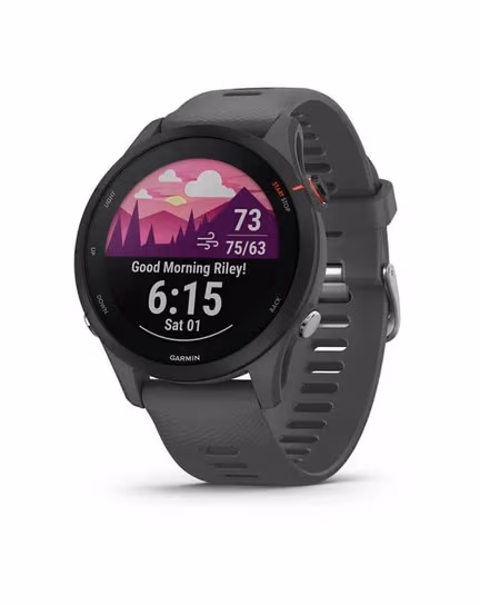Garmin Forerunner 255, Slate Grey 