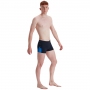 Плавки-шорты Speedo BOOM LOGO SPLICE ASHT AM thumbnav 2