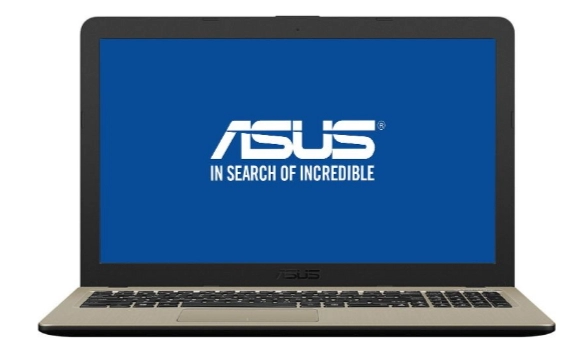 Laptop Asus X540MA-GO360, Celeron, 4 GB GB, EndlessOS, Auriu cu sur