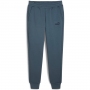 Pantaloni Puma ESS Logo Pants FL cl thumbnav 2
