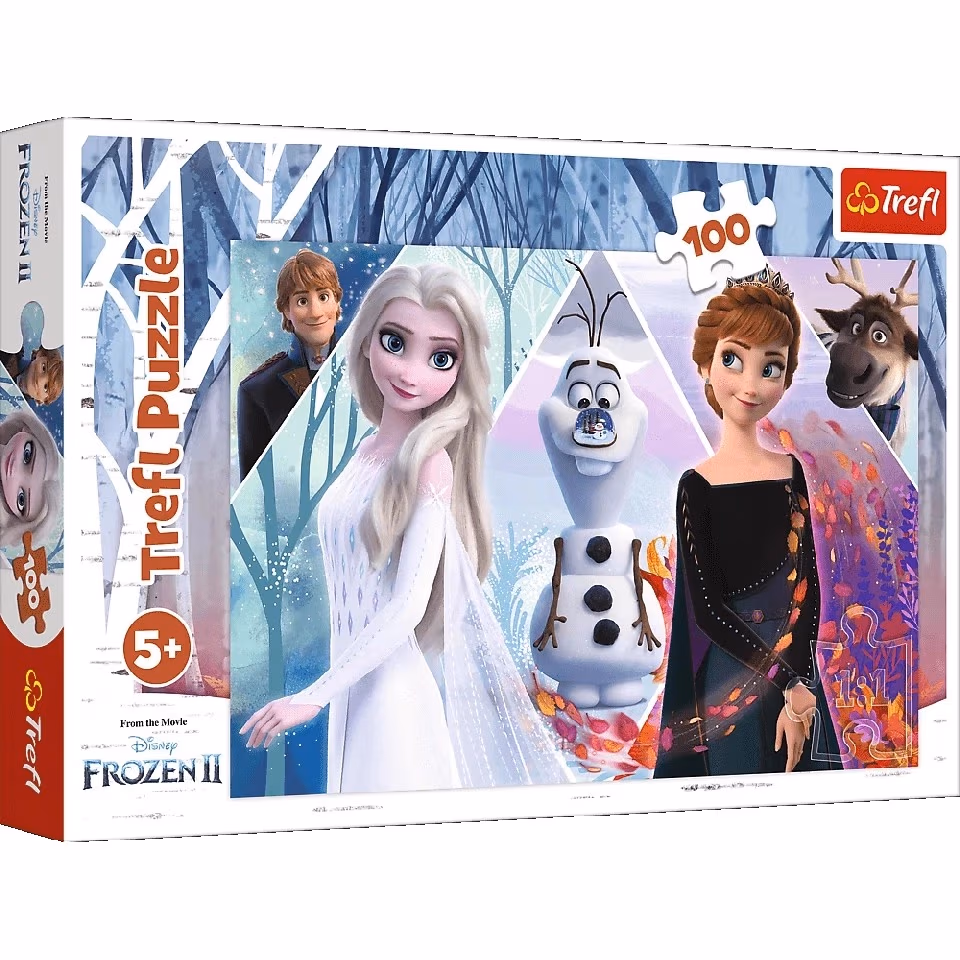 Trefl 16418 Puzzles 100 Enchanted Land 