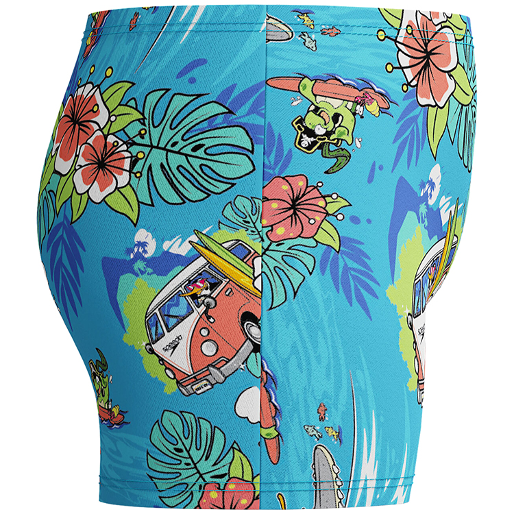 Плавки-шорты Speedo LTS ALV ASHT IM 5YRS Разноцветный Мужской photo 5