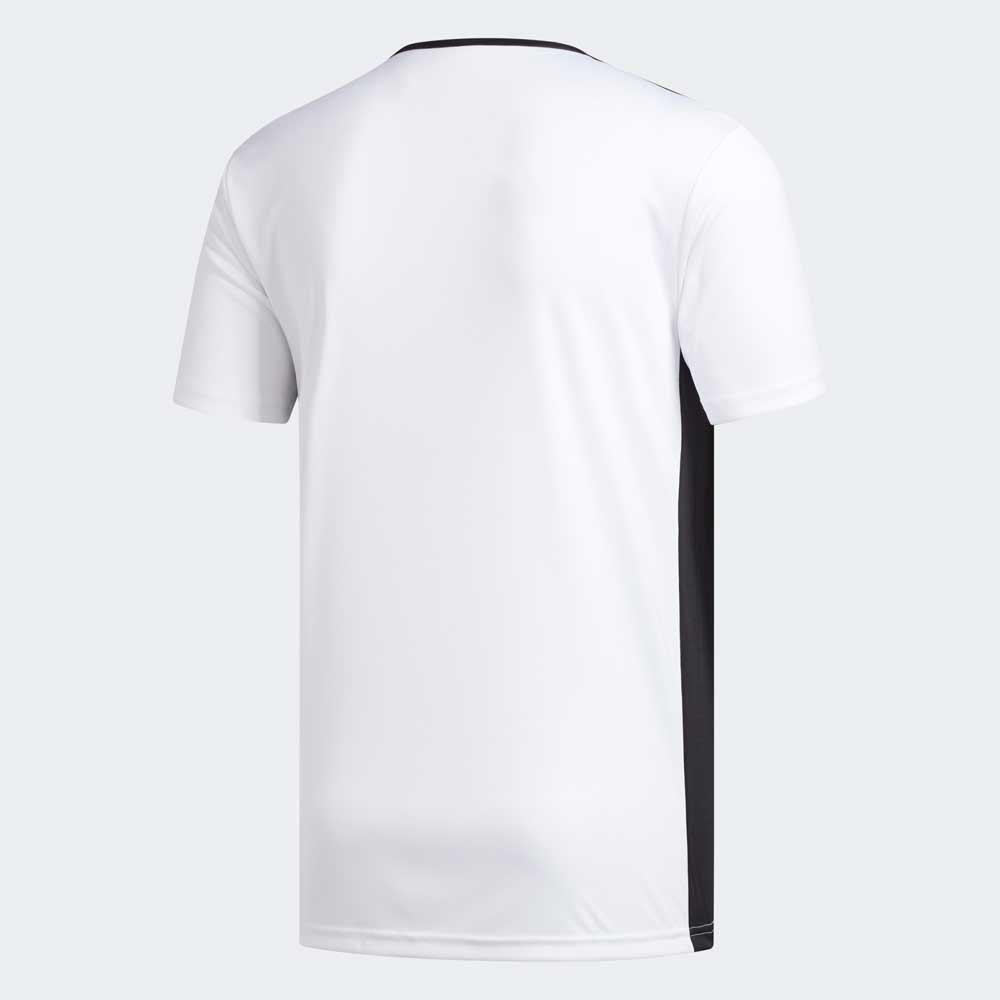 Футболка мужская Adidas ENTRADA 18 JSY S Белый photo 3