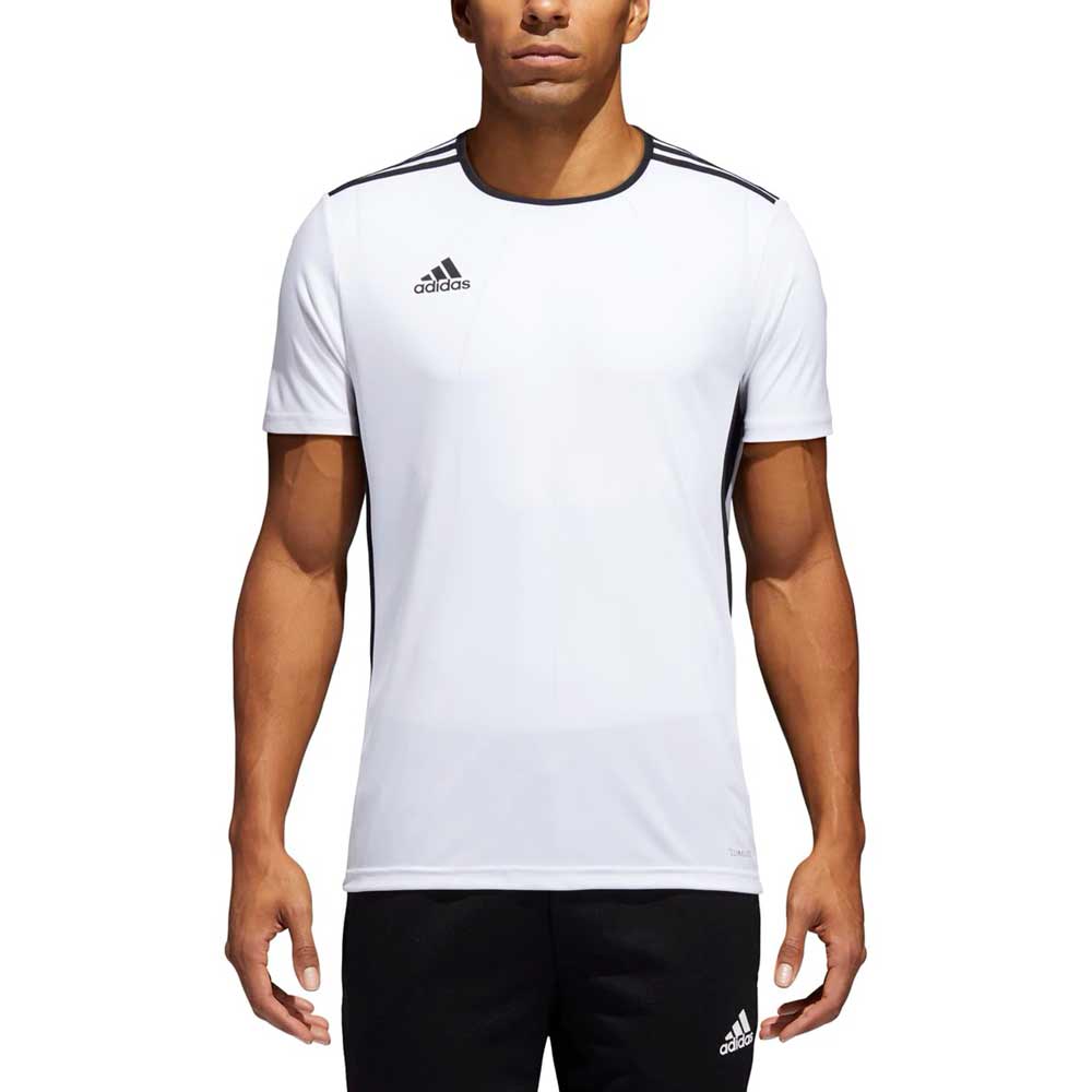 Футболка мужская Adidas ENTRADA 18 JSY S Белый photo 4