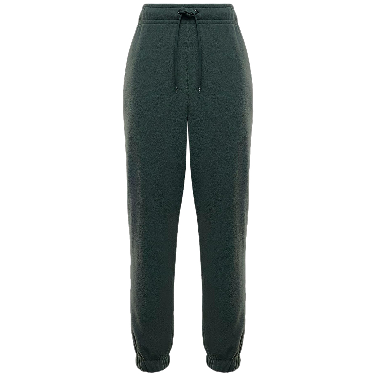 Брюки Nike W NK ONE TF PANT POLAR photo 