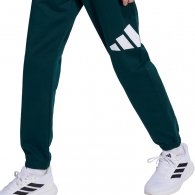 Спортивный костюм Adidas J BL FL JOG 240 thumbnav 5