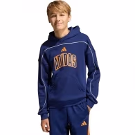 Толстовка Adidas STADIUM HOODY
