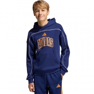 Толстовка Adidas STADIUM HOODY thumbnav 1