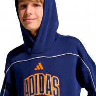 Толстовка Adidas STADIUM HOODY thumbnav 5