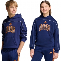Толстовка Adidas STADIUM HOODY thumbnav 6