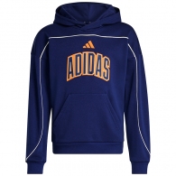 Толстовка Adidas STADIUM HOODY thumbnav 8