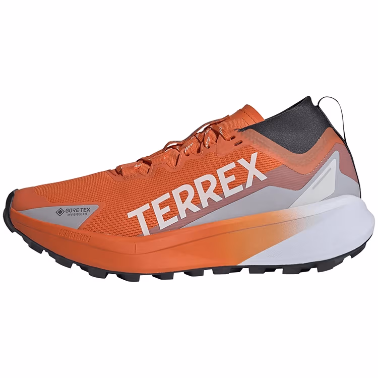 Incaltaminte Sport Adidas Terrex Agravic GTX