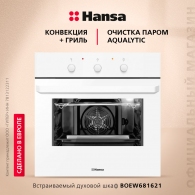 Встраиваемый духовой шкаф Hansa BOEW681621 thumbnav 6