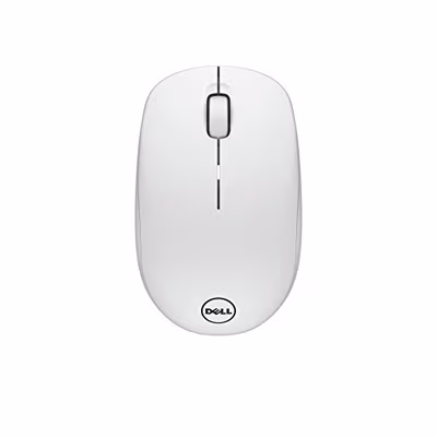 Dell Wireless Mouse-WM126, White (570-AAQG)