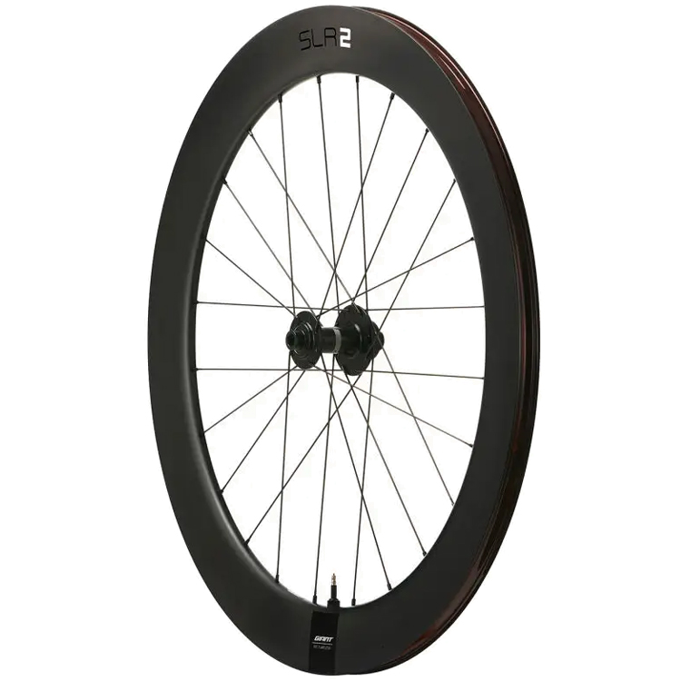 Janta Giant SLR 2 65 DB HOOKLESS FW OS photo 2