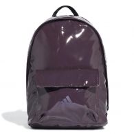 Rucsac Adidas W  CLASSIC S GL thumbnav