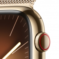 Смарт часы Apple Watch Series 9 45mm Gold thumbnav 10