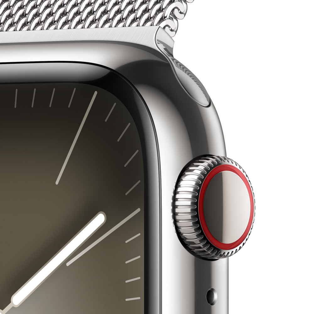 Smart watch Apple Watch Series 9 45mm Silver 1.9 photo 10