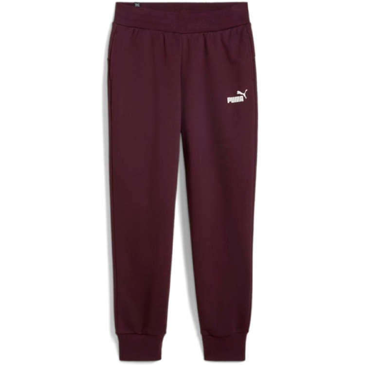 Брюки Puma ESS Sweatpants FL cl photo Брюки Puma ESS Sweatpants FL cl photo