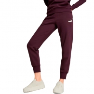 Брюки Puma ESS Sweatpants FL cl thumbnav 4