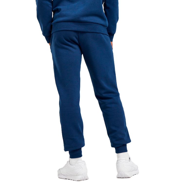 Pantaloni Puma Key Graphic Pants FL S Albastru Barbati photo 3