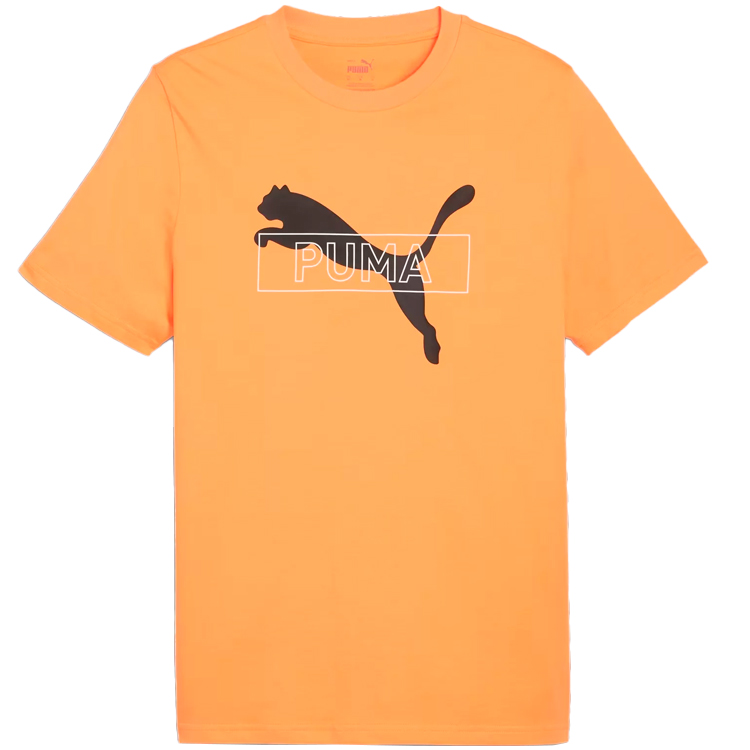 Футболка Puma DESERT ROAD Graphic Tee photo Футболка Puma DESERT ROAD Graphic Tee photo