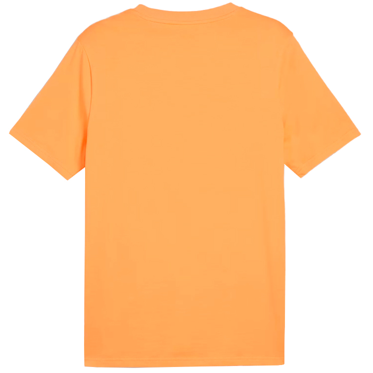Футболка мужская Puma DESERT ROAD Graphic Tee S Желтый photo 2