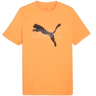 Футболка Puma DESERT ROAD Graphic Tee thumbnav