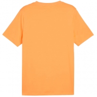Футболка Puma DESERT ROAD Graphic Tee thumbnav 2