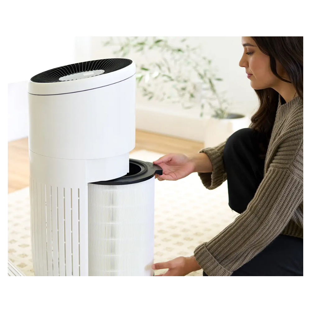 Фильтр для очистителя воздуха Bosch Air 6000, 7733701946 photo 4