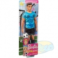 Barbie FXP01 Ken Seria Profesii In Asort.