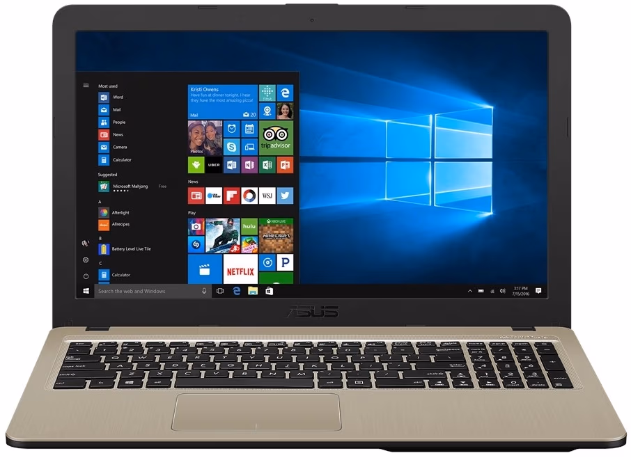 Ноутбук Asus X540UB-DM547, Core i3, 4 ГБ ГБ, EndlessOS, Золотистый с серым 