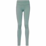 Легинсы Under Armour UA Vanish Seamless Legging