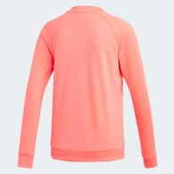  Adidas TREFOIL CREW thumbnav 4