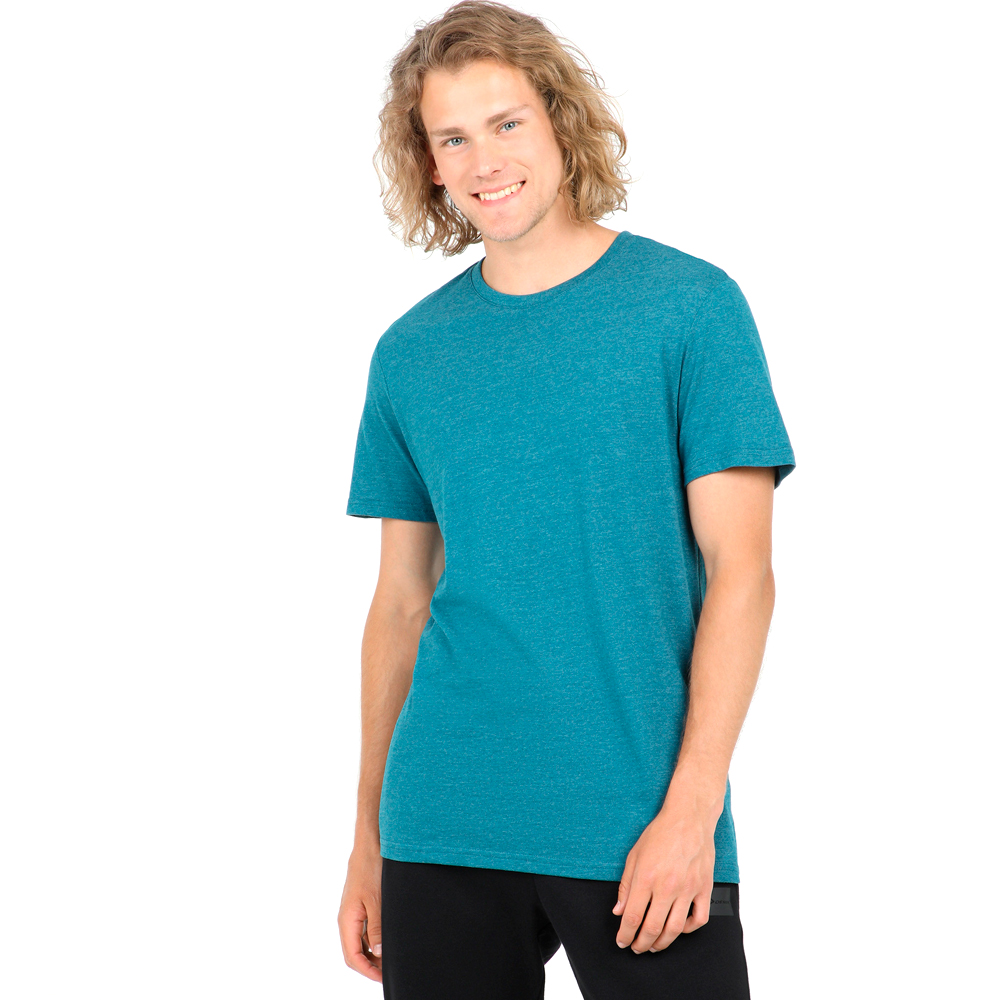 Футболка мужская Demix Men T-shirt M/L Синий photo 3