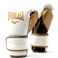 Перчатки для бокса Everlast POWERLOCK 2R thumbnav 1