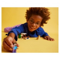 Конструктор Lego 21251 thumbnav 9