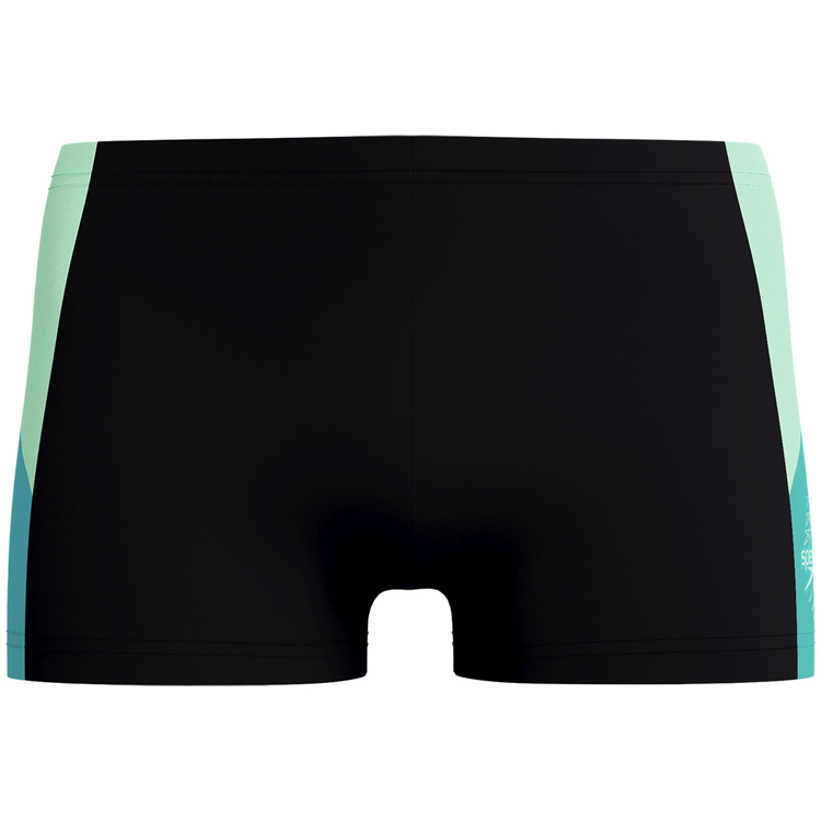 Slipi-sorti Speedo DIVESPL ASHT AM photo 5