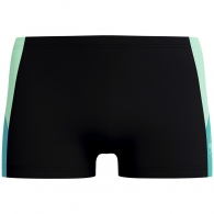 Slipi-sorti Speedo DIVESPL ASHT AM thumbnav 5