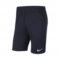 Шорты Nike Y NK DF PARK20 SHORT KZ thumbnav