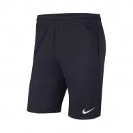 Шорты Nike Y NK DF PARK20 SHORT KZ