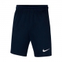 Шорты Nike Y NK DF PARK20 SHORT KZ thumbnav 1