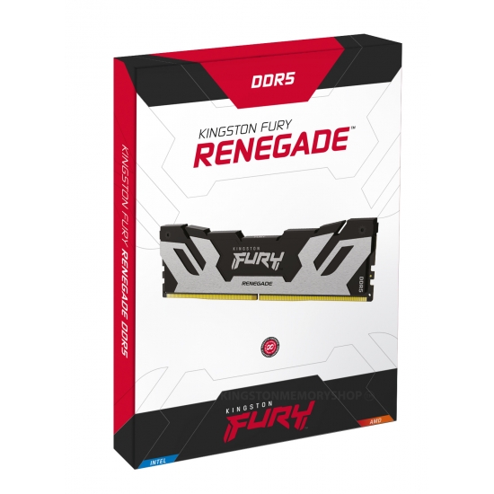 Memorie operativa Kingston FURY® Renegade Silver DDR5-6000 48GB photo 3
