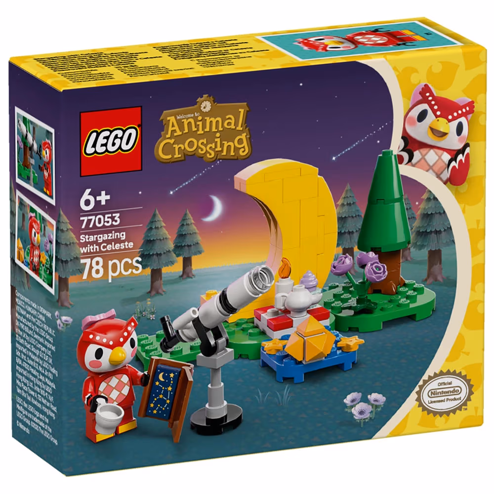 Constructor Lego 77053