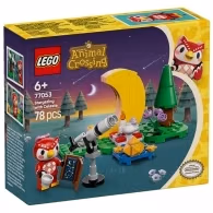 Constructor Lego 77053