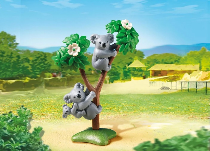 PM6654 Koala Family photo 1 PM6654 Koala Family photo 1