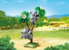 PM6654 Koala Family