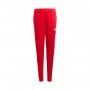 Брюки Adidas GN8455 thumbnav 1