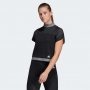 Adidas TEE PK LTE thumbnav 3